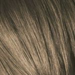 Игора роял 7-0