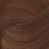 Игора роял абсолют 9-50