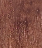 Hc inimitable color крем краска 8.31 100мл