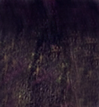 Hc inimitable color крем краска 4.13 100мл
