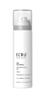 Ecru new york шампунь сухой 70 мл